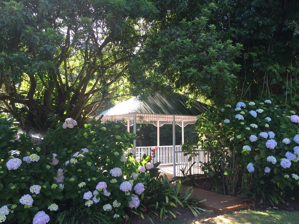 The White Manor Bed & Breakfast เคปทาวน์ ภายนอก รูปภาพ