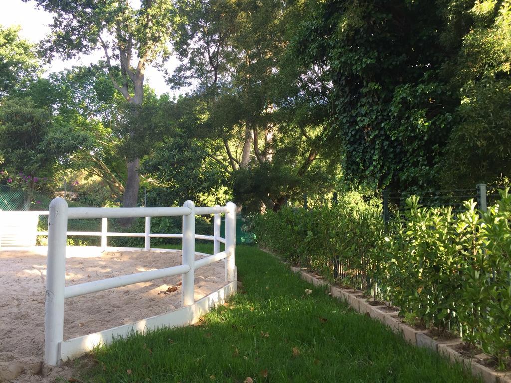 The White Manor Bed & Breakfast เคปทาวน์ ภายนอก รูปภาพ
